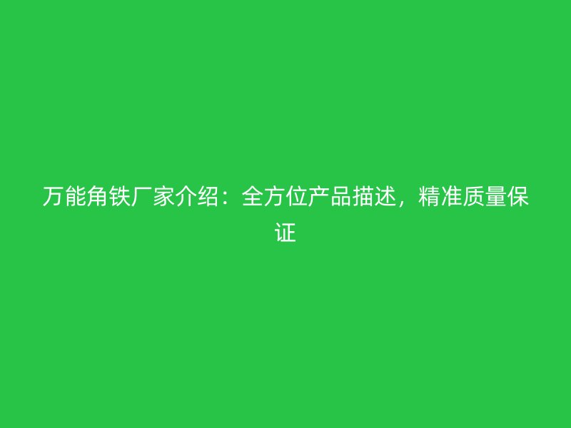 萬能角鐵廠家介紹：全方位產(chǎn)品描述，精準(zhǔn)質(zhì)量保證